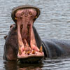 Makgadikgadi Pans National Park