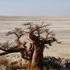 Makgadikgadi Pans National Park