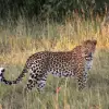 Matobo National Park