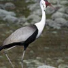 Okavango Delta